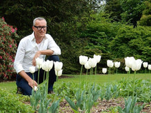 Afbeelding in Gallery-weergave laden, Tulip ‘Ronald van der Hilst’ - 50p