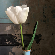 Afbeelding in Gallery-weergave laden, Tulip ‘Ronald van der Hilst’ - 50p