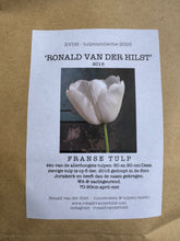 Afbeelding in Gallery-weergave laden, Tulip ‘Ronald van der Hilst’ - 20p