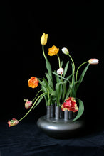 Load image into Gallery viewer, matt graphite