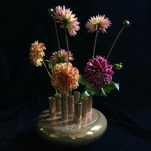 Load image into Gallery viewer, shiny gold