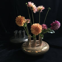 Load image into Gallery viewer, shiny gold & matt graphite