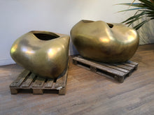 Load image into Gallery viewer, Rhizome No.1 - tree planter