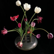 Load image into Gallery viewer, matt graphite