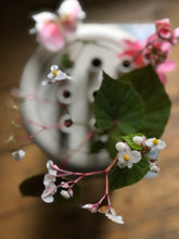 Load image into Gallery viewer, Goldane Gol No.9 - flower holder