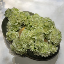 Load image into Gallery viewer, Tuber - flower holder