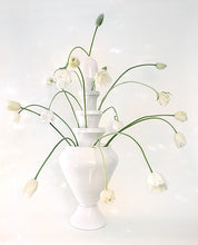 Load image into Gallery viewer, Isphahan - flowerholder