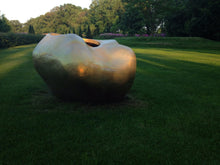 Load image into Gallery viewer, Rhizome No.1 - tree planter