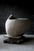 Load image into Gallery viewer, Rhizome No.2 - tree planter