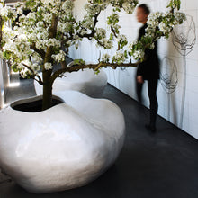 Load image into Gallery viewer, Rhizome No.1 - tree planter