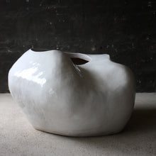 Load image into Gallery viewer, Rhizome No.1 - tree planter