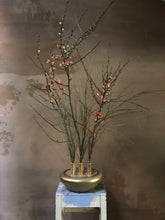 Load image into Gallery viewer, Goldane Gol No.9 - flower holder