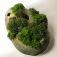 Load image into Gallery viewer, Tuber - flower holder