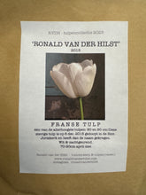 Afbeelding in Gallery-weergave laden, Tulip ‘Ronald van der Hilst’ - 50p

