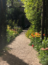 Load image into Gallery viewer, eau de parfum HORTUS CONCLUSUS tulipa
