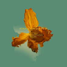 Load image into Gallery viewer, eau de parfum HORTUS CONCLUSUS tulipa
