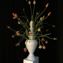 Afbeelding in Gallery-weergave laden, Isphahan - flowerholder

